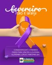 💜🧡 Fevereiro Roxo e Laranja 💜🧡